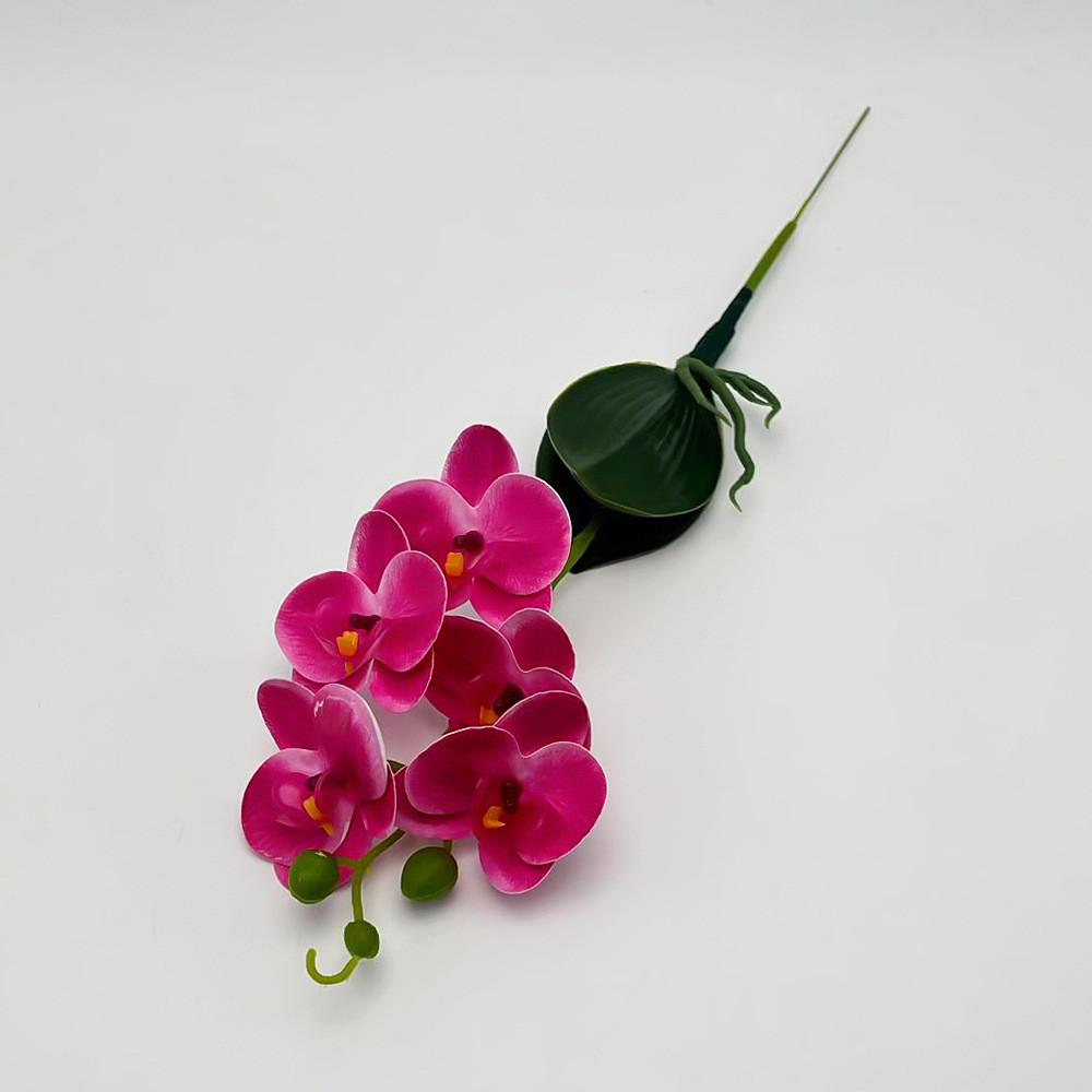 Artificial Realistic Phalaenopsis Flowers Flower Bouquet Plants For Home Decor Purple
Artificial Realistic Phalaenopsis Flowers Flower Bouquet Plants For Home Decor Purple