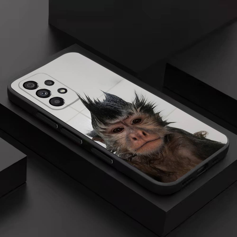 Cute Monkey Funny Phone Case For Samsung S 9,10,21,30,22,23,24,25,26,Ultra,Plus,Lite,FE,4,5G Black Soft Precise SamsungS30Plus
Cute Monkey Funny Phone Case For Samsung S 9,10,21,30,22,23,24,25,26,Ultra,Plus,Lite,FE,4,5G Black Soft Precise SamsungS30Plus