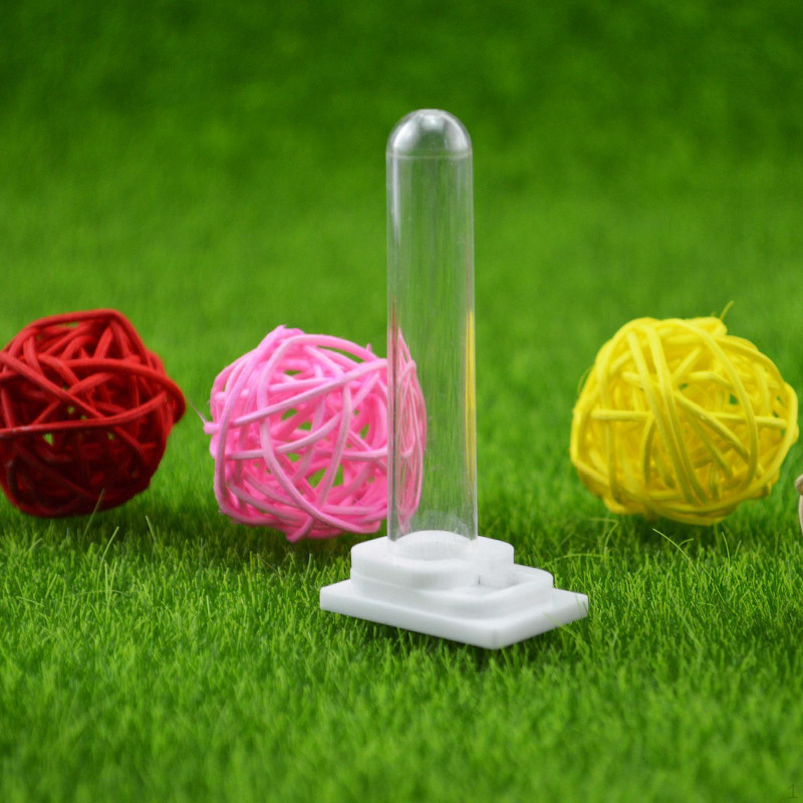 Water Cup Kit Drinking Accessories Small Watering Stations Tool Reusable Acrylic Storage White
Water Cup Kit Drinking Accessories Small Watering Stations Tool Reusable Acrylic Storage White