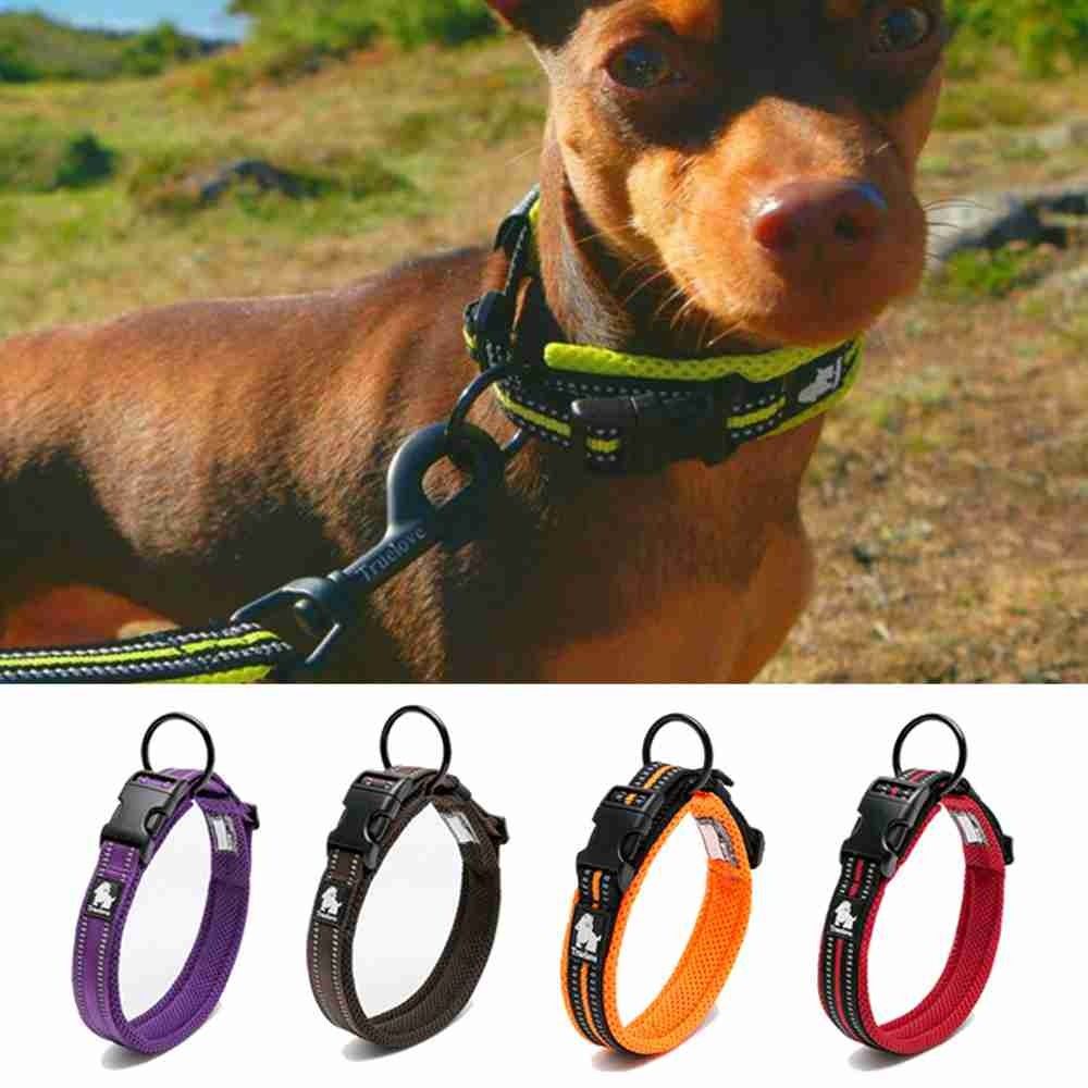 Reflective Neck Strap Safety Buckle Small Dog Supplies Pet Necklace Dogs Collar Nylon Traction Rope
Reflective Neck Strap Safety Buckle Small Dog Supplies Pet Necklace Dogs Collar Nylon Traction Rope