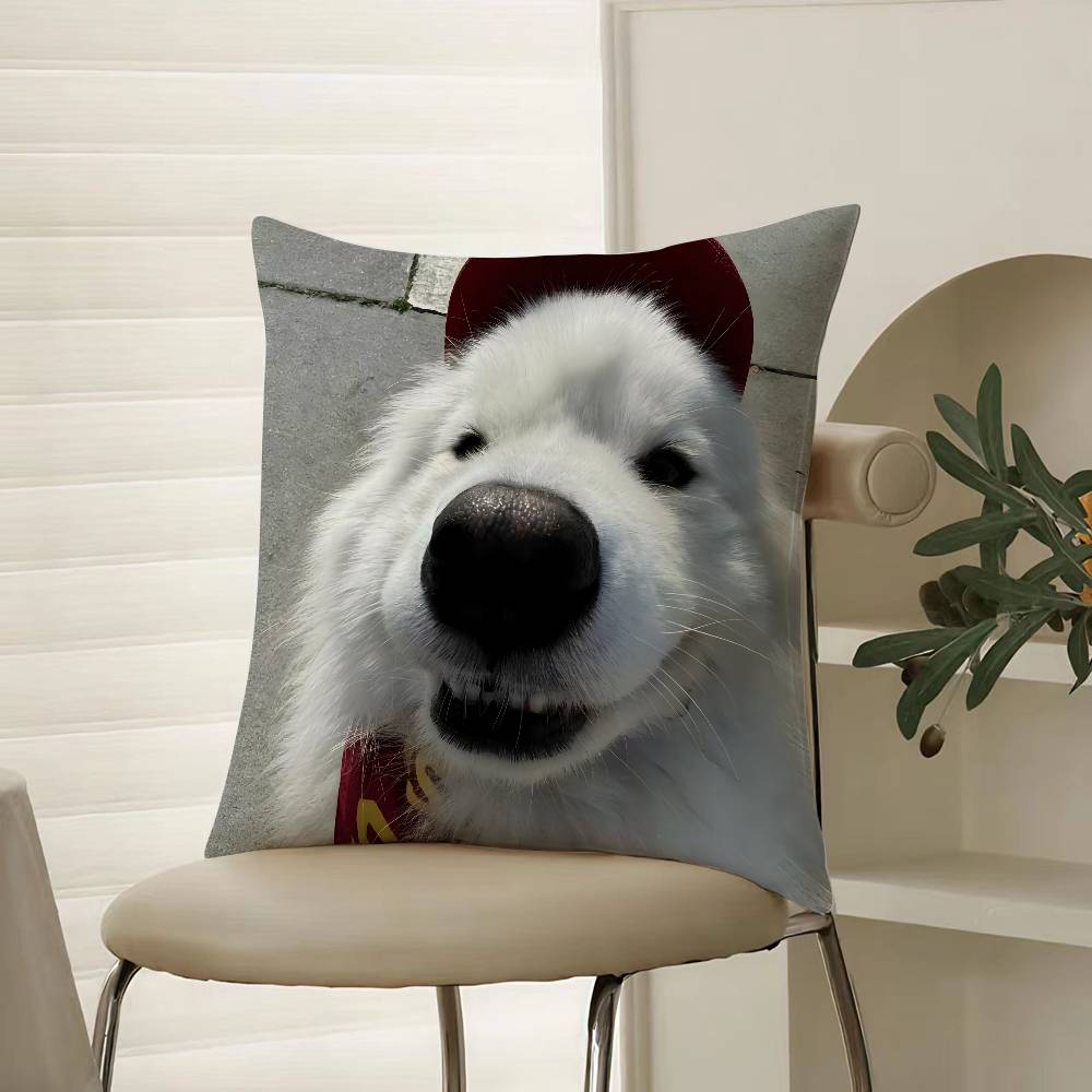 Happy Cute Puppy Smiling Sunshine Pillow Case Comfort Sofa Bed Silky elegant Invisible zipper Decorative cushion cover 12x12Inch
Happy Cute Puppy Smiling Sunshine Pillow Case Comfort Sofa Bed Silky elegant Invisible zipper Decorative cushion cover 12x12Inch