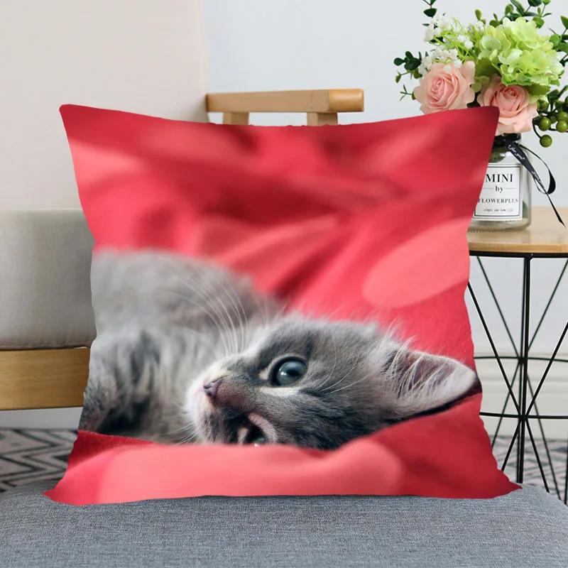 Милая наволочка для кровати с изображением животных для автомобиля, дивана, домашнего питомца, кошки, наволочка с принтом 40x40cm
Милая наволочка для кровати с изображением животных для автомобиля, дивана, домашнего питомца, кошки, наволочка с принтом 40x40cm