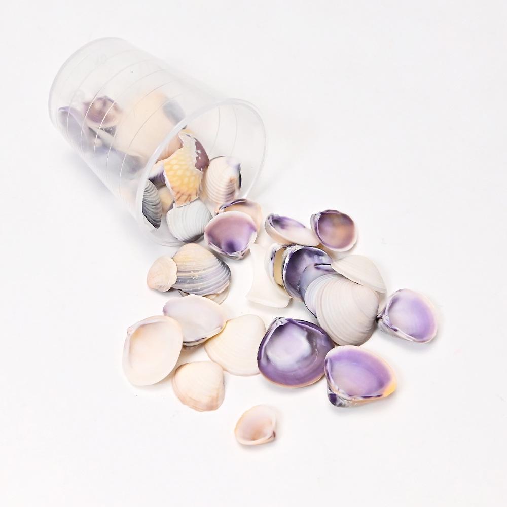 Natural Epoxy-Filled Conch Shells for DIY Crafts and Aquarium Decor
Natural Epoxy-Filled Conch Shells for DIY Crafts and Aquarium Decor