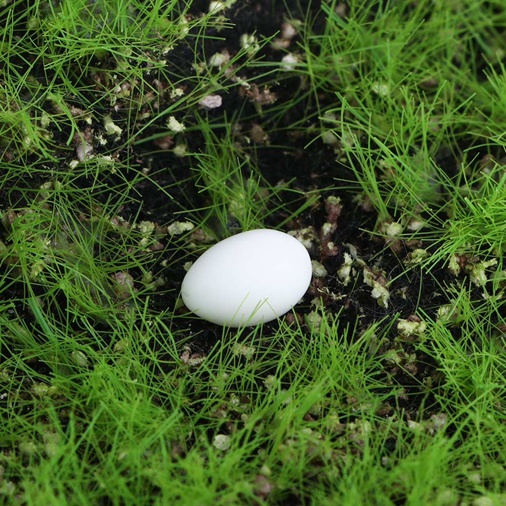 DIY Craft Cute Tiny Hen Chick Egg Henroost Resin Micro Landscape Figurine Miniature Decoration Ornament
DIY Craft Cute Tiny Hen Chick Egg Henroost Resin Micro Landscape Figurine Miniature Decoration Ornament