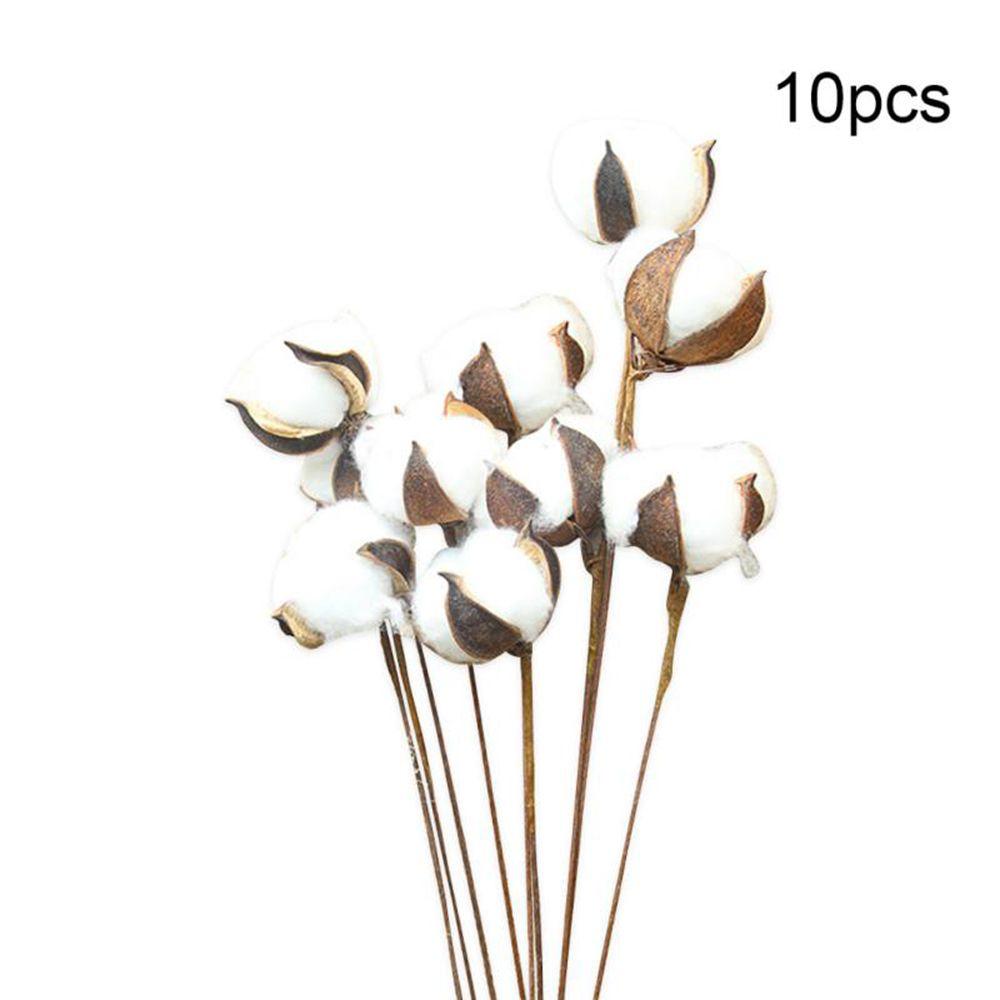 1/10Pcs Artificial Fake Cotton Floral Branch Dried Wedding Decoration Natural Handmade Fake Plants Farm House Decoration
1/10Pcs Artificial Fake Cotton Floral Branch Dried Wedding Decoration Natural Handmade Fake Plants Farm House Decoration