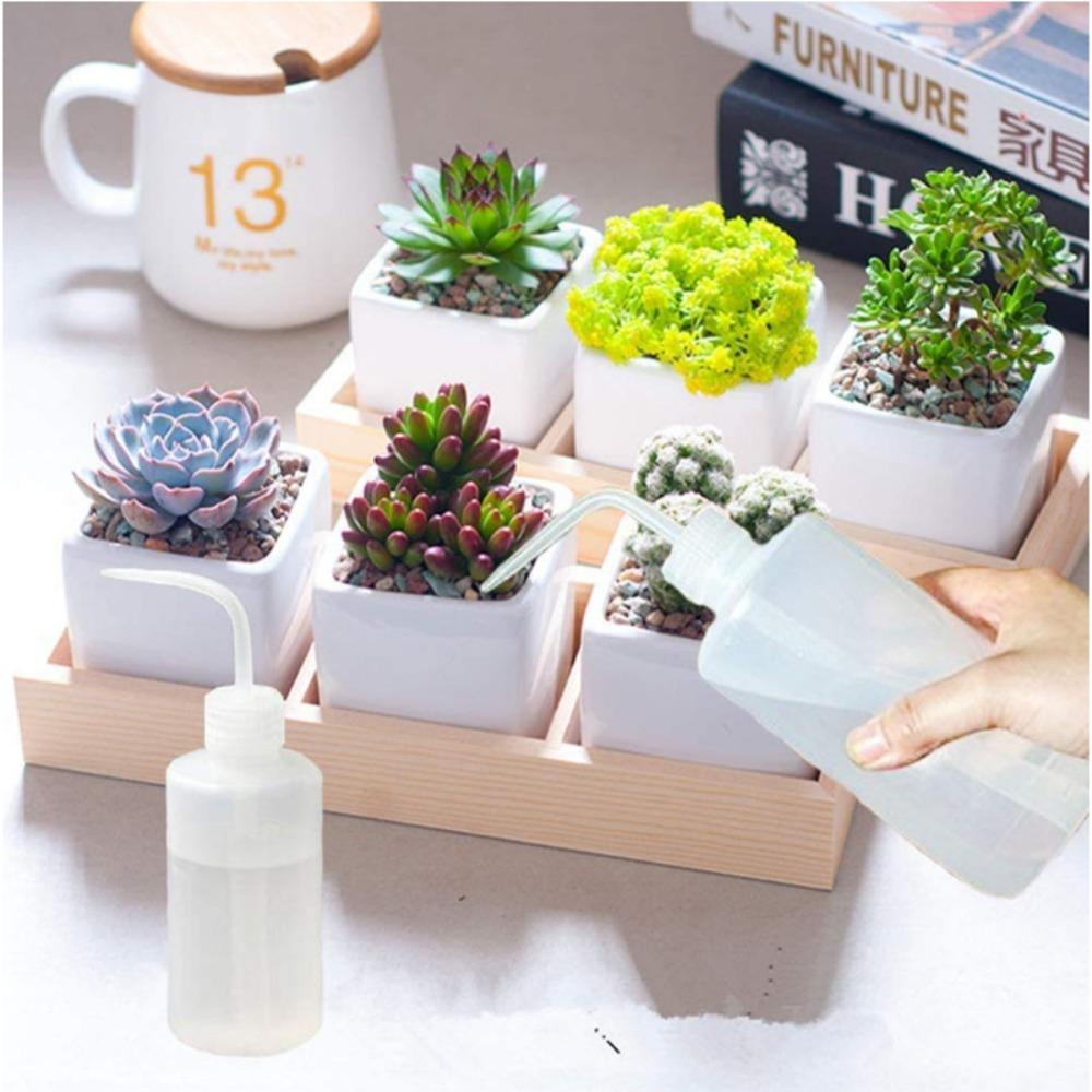 150/250/500/1000ml Watering Pot Plastic Liquid Container New Squeeze Bottle Succulent 1000ml
150/250/500/1000ml Watering Pot Plastic Liquid Container New Squeeze Bottle Succulent 1000ml