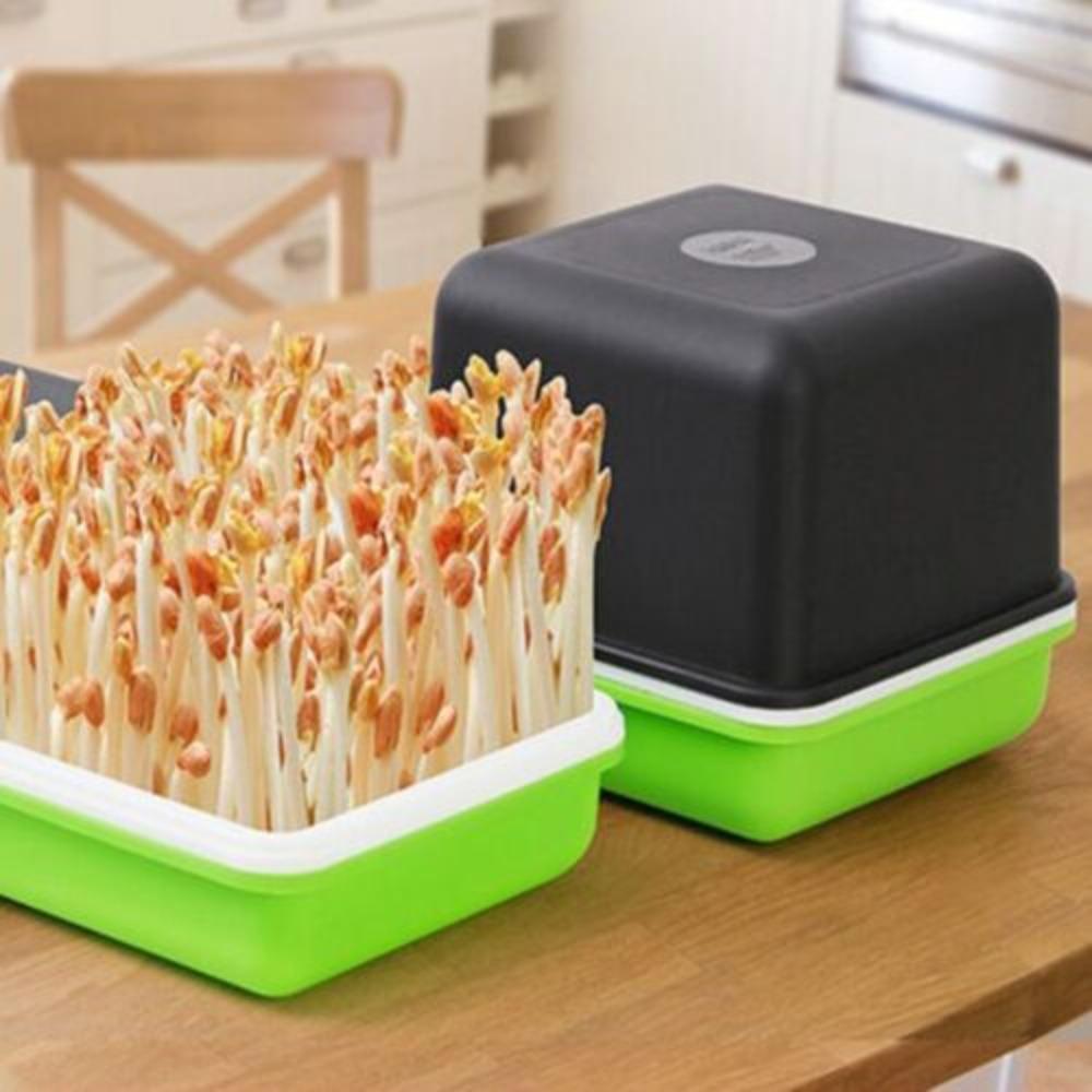 Sprout Planting Box Grow Germination Pot Soilless Planting Pot Seedling Sprouter Hydroponic Box
Sprout Planting Box Grow Germination Pot Soilless Planting Pot Seedling Sprouter Hydroponic Box