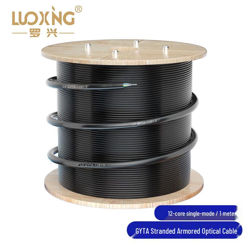 LUOXinG Telecom Outdoor Single-mode 12-Core Armored Fiber Optic Cable
LUOXinG Telecom Outdoor Single-mode 12-Core Armored Fiber Optic Cable
