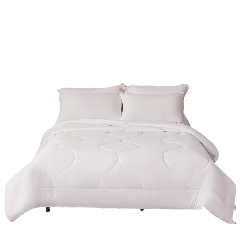 Mercury Home Chloe Antibacterial All-Season Fiber Quilt
Mercury Home Chloe Antibacterial All-Season Fiber Quilt