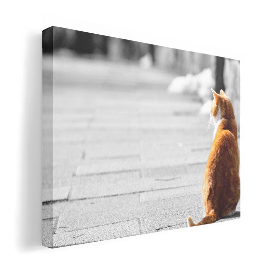 Art 420mm x Wall Wooden Stylish Interior Landscape Panel, Painting, Decoration, igsticker, 297mm, A3, Photo, Hanging, Frame, Decor, 025763, Animals,
Art 420mm x Wall Wooden Stylish Interior Landscape Panel, Painting, Decoration, igsticker, 297mm, A3, Photo, Hanging, Frame, Decor, 025763, Animals,