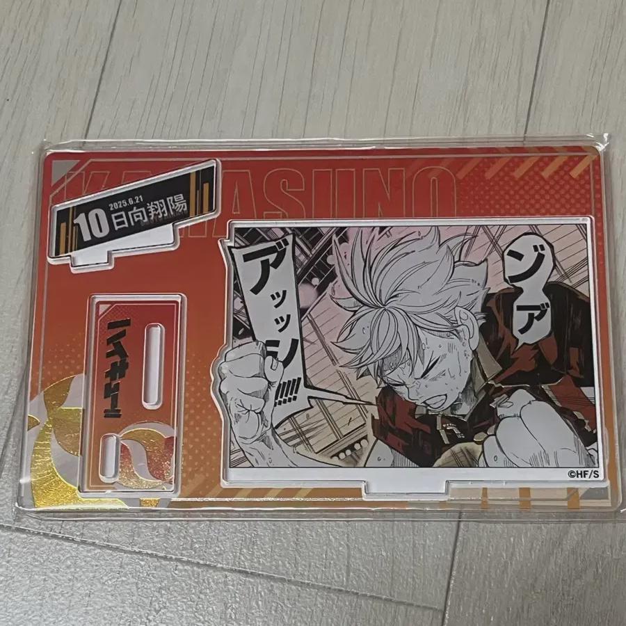 Хайкю Хината 2025 Диорама
Хайкю Хината 2025 Диорама