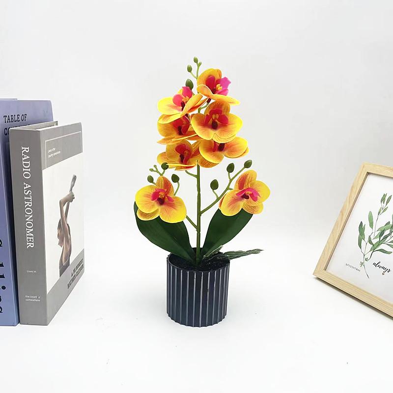 Phalaenopsis Aphrodite Rchb Artificial Plant For Wedding Home Decor And Photography Style H
Phalaenopsis Aphrodite Rchb Artificial Plant For Wedding Home Decor And Photography Style H