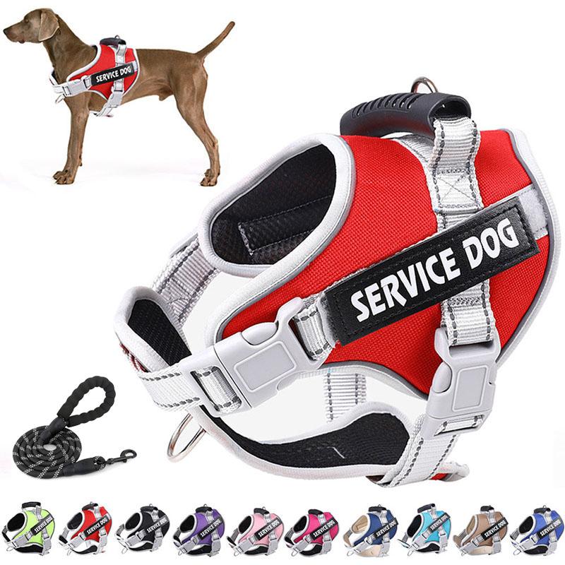 No Pull Dog Vest Harness Service Dog Chest Collars Puppy Accessories Tactical Train Medium Small Leash Set For All Breeds Dogs XS красный
No Pull Dog Vest Harness Service Dog Chest Collars Puppy Accessories Tactical Train Medium Small Leash Set For All Breeds Dogs XS красный