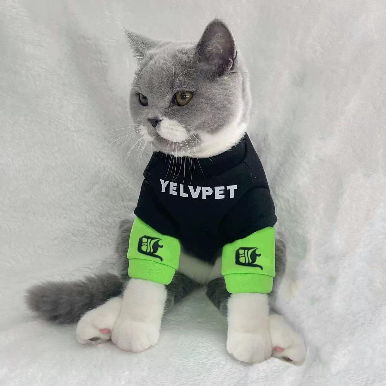 Зимняя флисовая одежда для питомцев (Тряпичная кукла) & Маленькая собака (Шнауцер) XS
Зимняя флисовая одежда для питомцев (Тряпичная кукла) & Маленькая собака (Шнауцер) XS