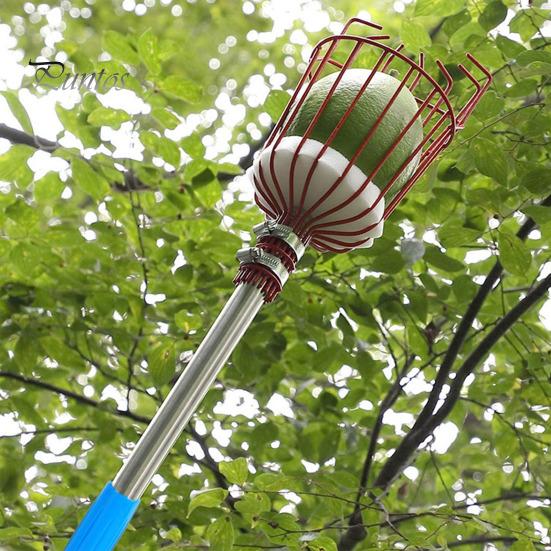 Инструмент для сбора фруктов Сборщик орехов с сумкой для хранения Регулируемая конструкция с длинной ручкой Большая вместимость Простой в установке инструмент для сбора фруктов M
Инструмент для сбора фруктов Сборщик орехов с сумкой для хранения Регулируемая конструкция с длинной ручкой Большая вместимость Простой в установке инструмент для сбора фруктов M