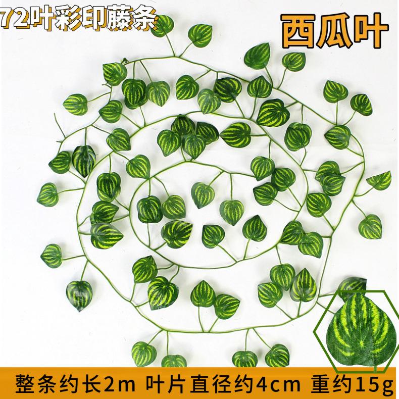 72 pieces of leaf-shaped imitation color-printed rattan strips One size
72 pieces of leaf-shaped imitation color-printed rattan strips One size