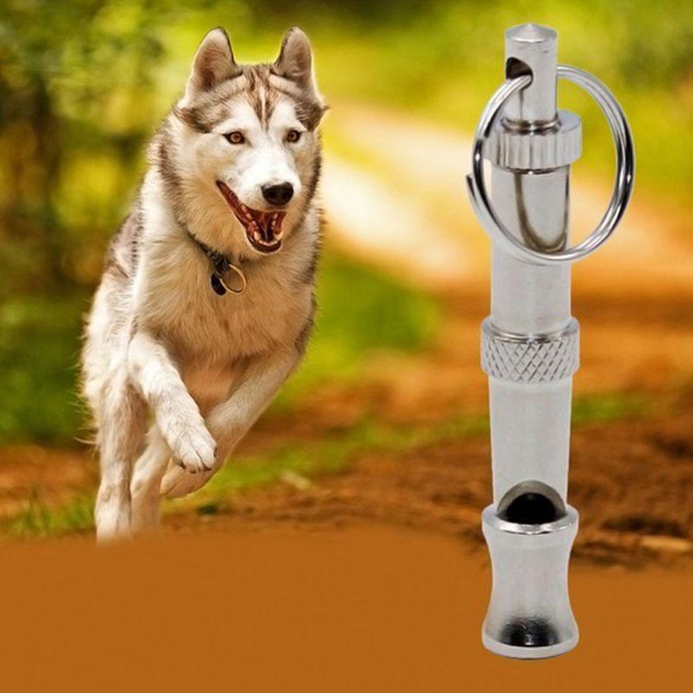 Portable Whistle Make Dog Stop Barking Dog Whistle Whistle Supersonic Whistle Whistle Key Chain срібний
Portable Whistle Make Dog Stop Barking Dog Whistle Whistle Supersonic Whistle Whistle Key Chain срібний