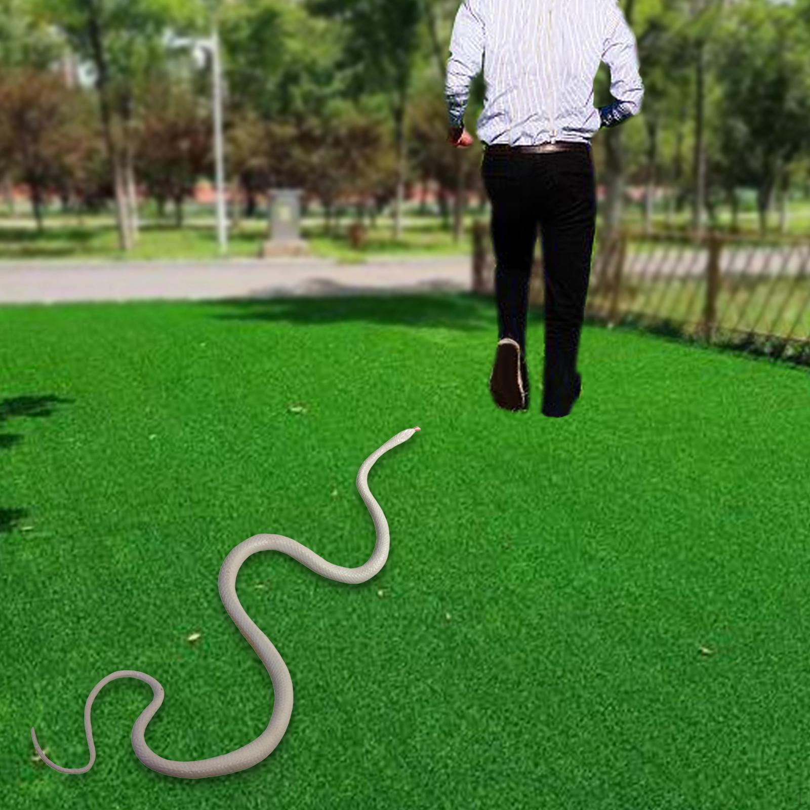 Поддельная игрушечная фигурка змеи, фигурка для вечеринки, реалистичная резиновая фигурка для
Поддельная игрушечная фигурка змеи, фигурка для вечеринки, реалистичная резиновая фигурка для