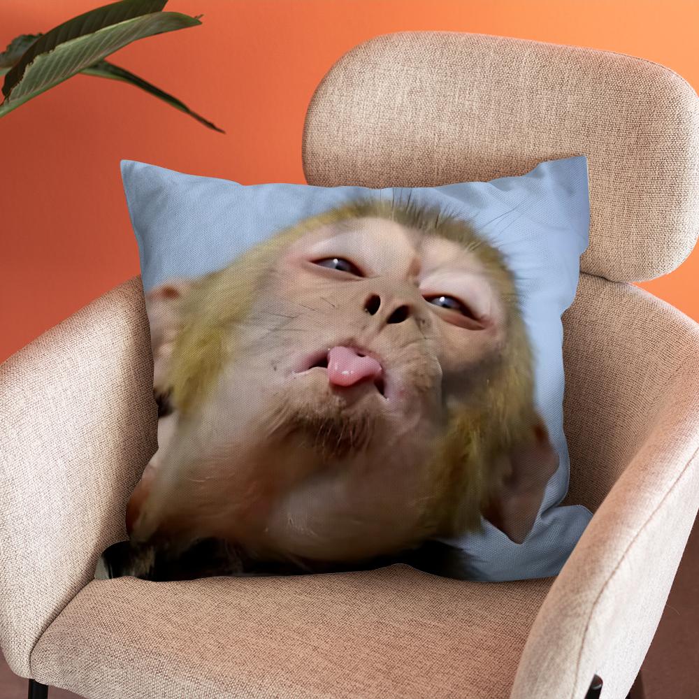 Monkey Sipping Caprisun Meme Pillow Case Soft Cushion Cases for Farmhouse Sofa Decor Home Decorations and Protector Pillow Case 55cmx55cm
Monkey Sipping Caprisun Meme Pillow Case Soft Cushion Cases for Farmhouse Sofa Decor Home Decorations and Protector Pillow Case 55cmx55cm