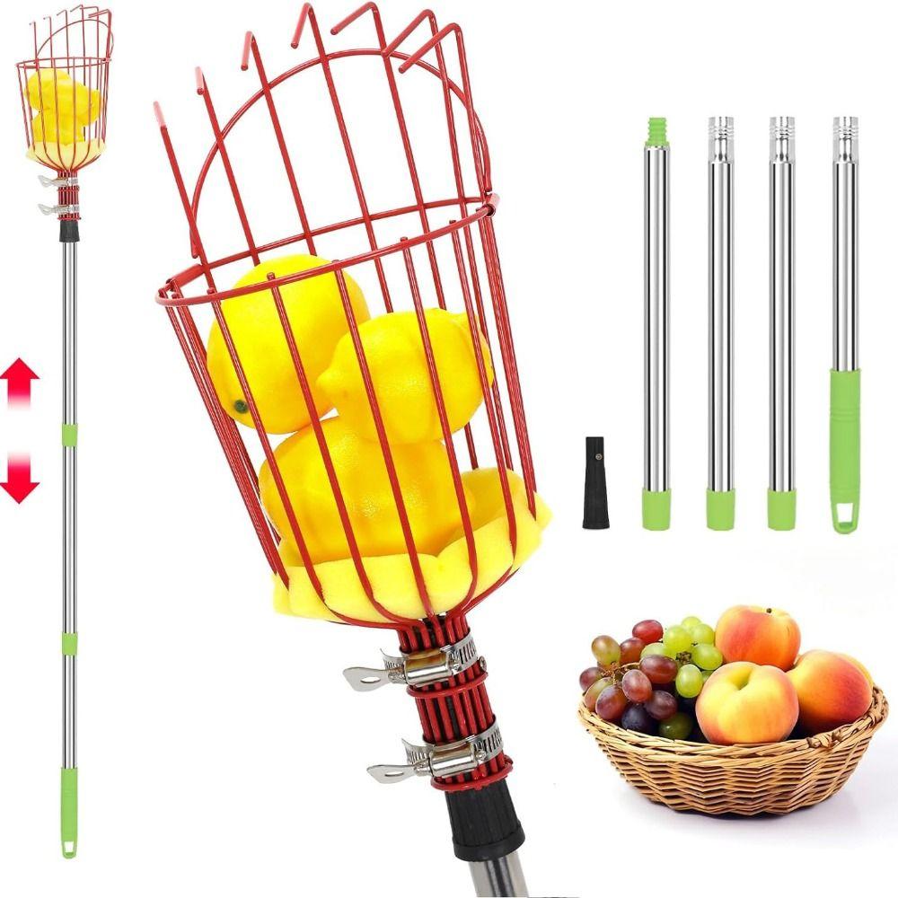 Telescopic Rod Fruit Picker Adjustable Picking Fruit Tool For High Altitude Tree 1.6 M
Telescopic Rod Fruit Picker Adjustable Picking Fruit Tool For High Altitude Tree 1.6 M
