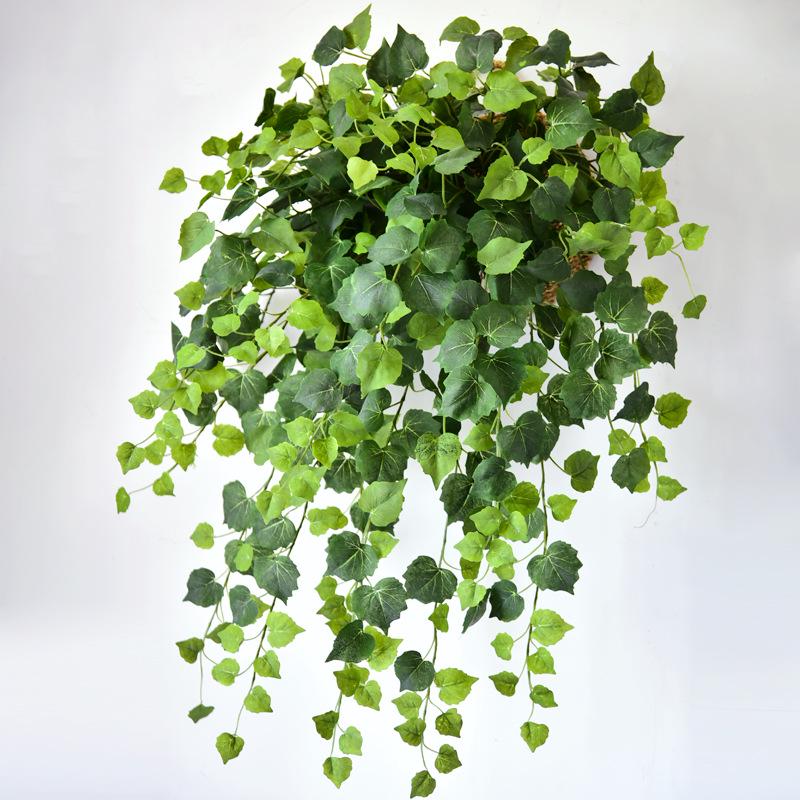 Bodhi Leaf Wall Hanging: Artificial Climbing Flower Vine Decoration Single Bodhi Leaf Bunch
Bodhi Leaf Wall Hanging: Artificial Climbing Flower Vine Decoration Single Bodhi Leaf Bunch