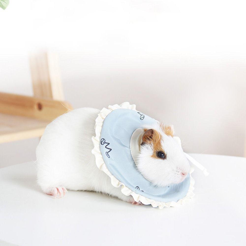 Anti-Licking Hamster Protection Cone Adjustable Rat Neck Recovery Collar For Guinea Pig Rat Kitten S розовый
Anti-Licking Hamster Protection Cone Adjustable Rat Neck Recovery Collar For Guinea Pig Rat Kitten S розовый