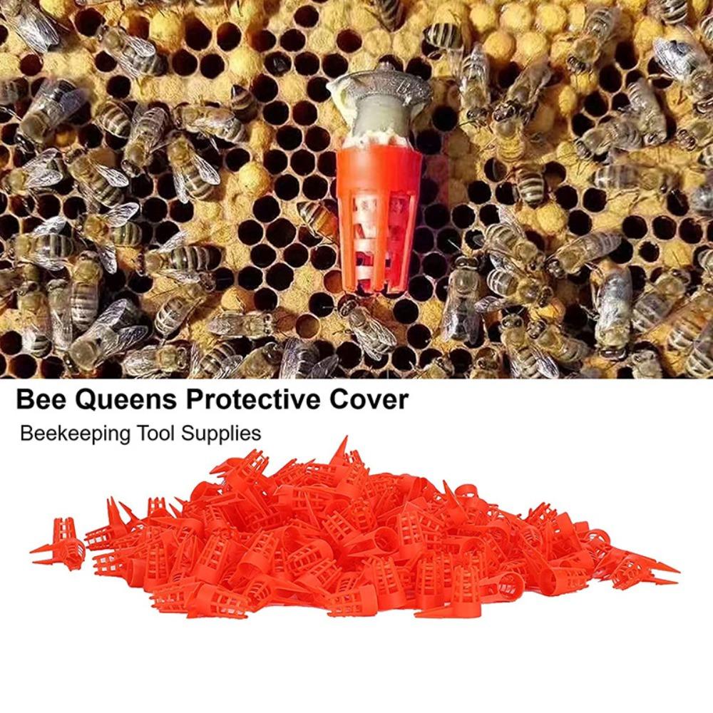 20 шт. Роздвоєні ковпачки Thorny Bee Queen Захисні інструменти для бджільництва Безпечні кришки для кліток для бджільництва 20 Caps
20 шт. Роздвоєні ковпачки Thorny Bee Queen Захисні інструменти для бджільництва Безпечні кришки для кліток для бджільництва 20 Caps
