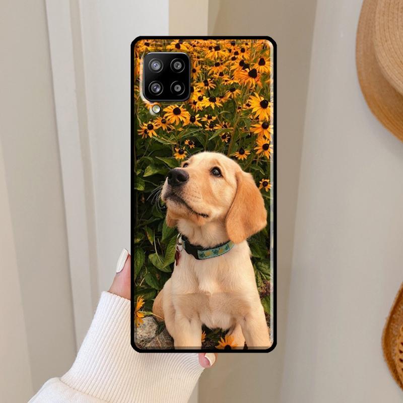 Golden Retriever Friend Case For Samsung Galaxy A06 A05 A16 A26 A36 A56 A33 A32 A52 A15 A53 A13 A34 A54 A14 A35 A55 Samsung A33 5G
Golden Retriever Friend Case For Samsung Galaxy A06 A05 A16 A26 A36 A56 A33 A32 A52 A15 A53 A13 A34 A54 A14 A35 A55 Samsung A33 5G