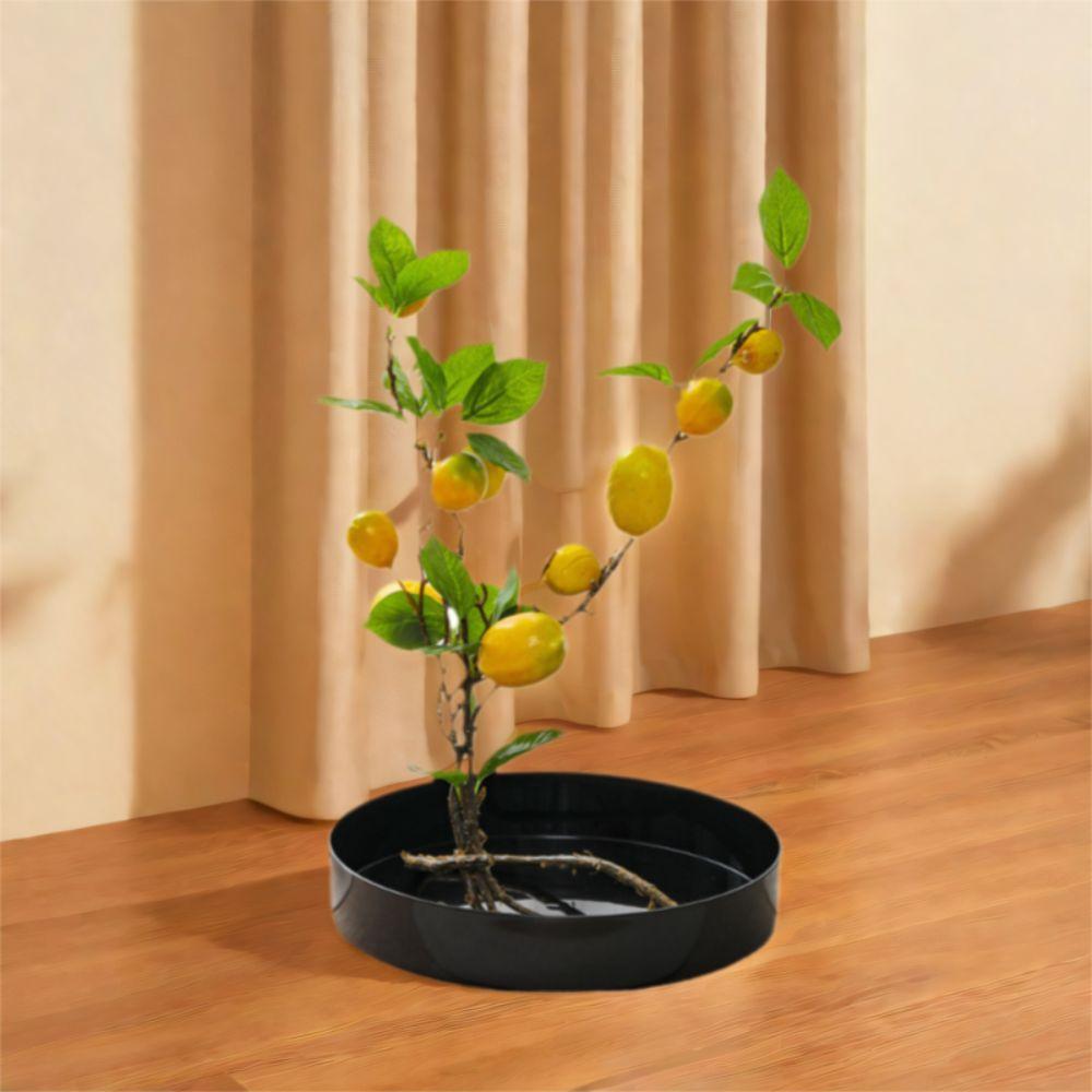 Round Flower Container Large Plastic Flower Tray Durable Flower Arrangement Tray Living Room S сірий
Round Flower Container Large Plastic Flower Tray Durable Flower Arrangement Tray Living Room S сірий