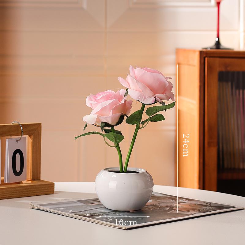 Rose Preserved Flower Night Light: Ceramic Bedside Lamp for Girls, Creative Ornament & Gift
Rose Preserved Flower Night Light: Ceramic Bedside Lamp for Girls, Creative Ornament & Gift