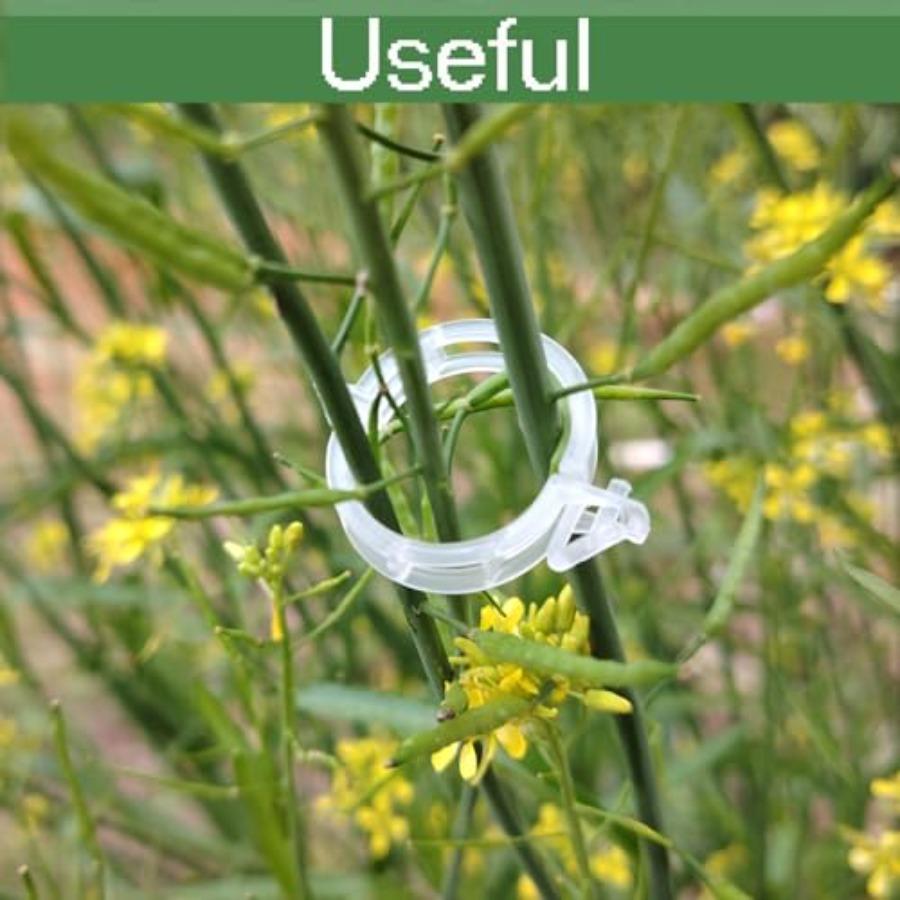 Secured Plastic Plant Clip Plant Support Clips for Climbing Plants Garden Use White 100pcs Plastic Trellis Clips for Tomato Gra United States
Secured Plastic Plant Clip Plant Support Clips for Climbing Plants Garden Use White 100pcs Plastic Trellis Clips for Tomato Gra United States