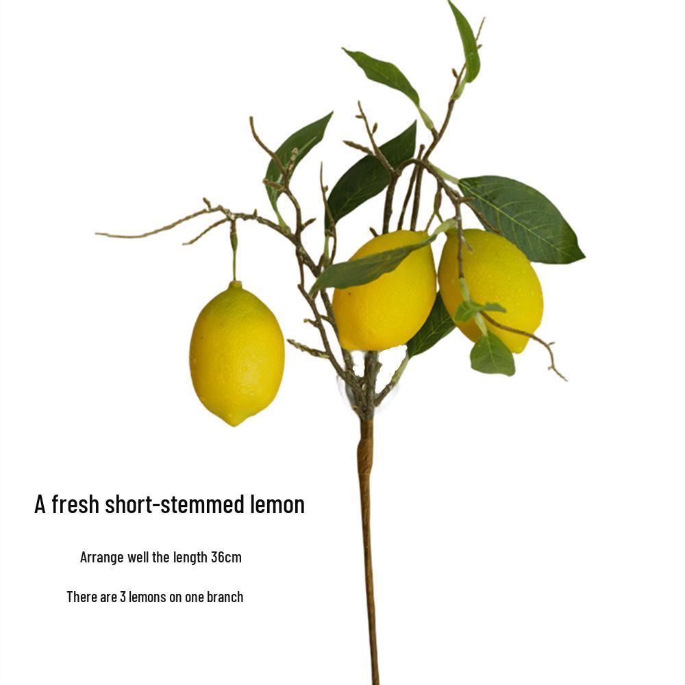 Fresh Forest Style Lemon Branches Flower Arrangement for Living Room Decor or Window Display
Fresh Forest Style Lemon Branches Flower Arrangement for Living Room Decor or Window Display