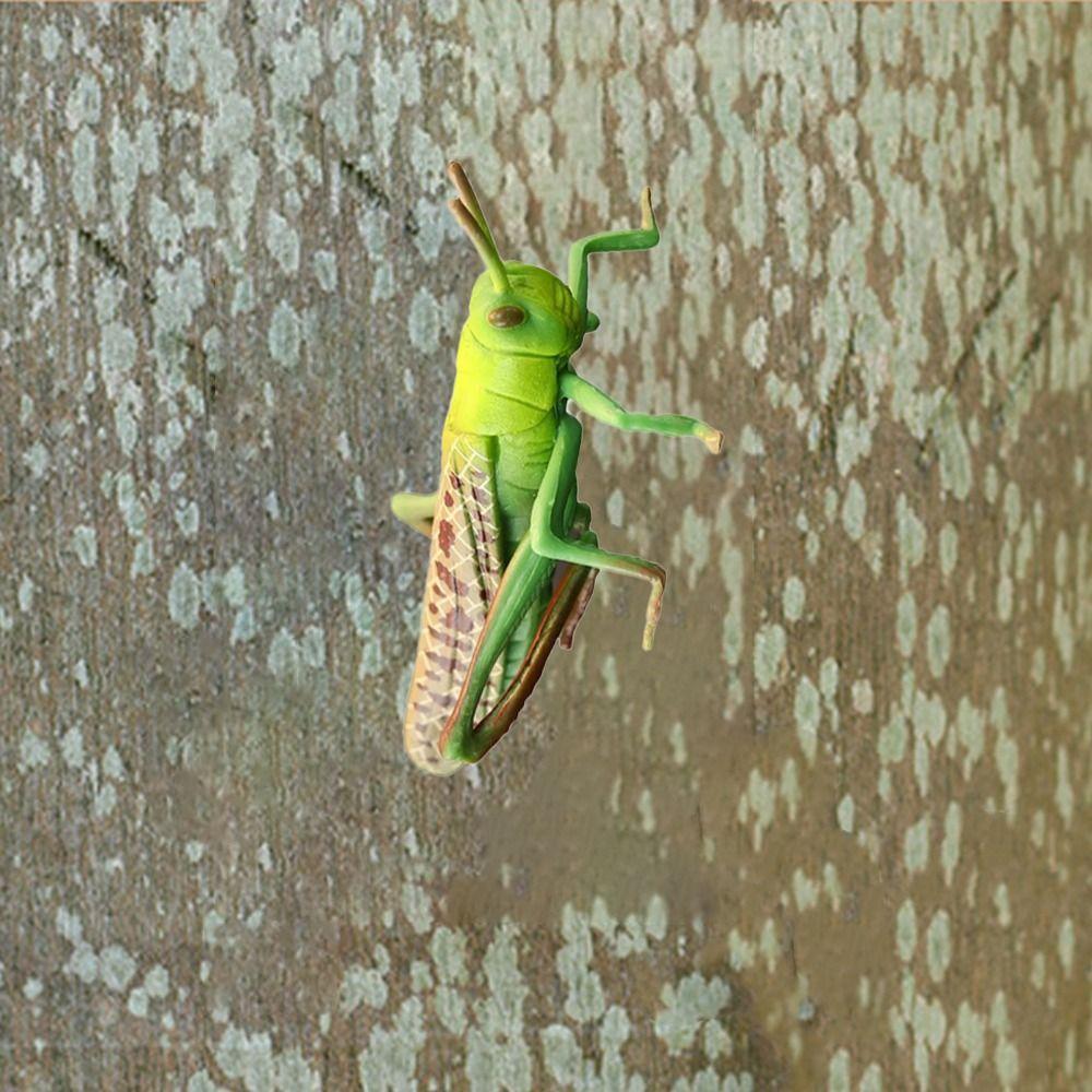 2Pcs Vivid Locust Animal Model Plastic Animal Toys Funny Locust Statue Outdoor 2Pcs
2Pcs Vivid Locust Animal Model Plastic Animal Toys Funny Locust Statue Outdoor 2Pcs