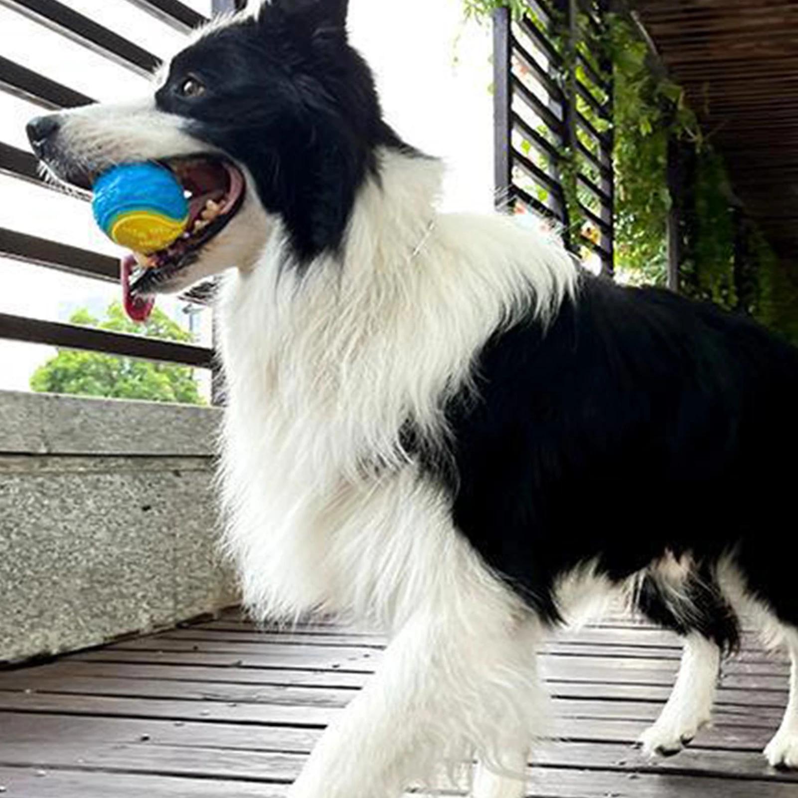 Устойчивая к укусам игрушка для собак, резиновый мяч, эластичный мяч со вкусом говядины, чтобы собака не разрушала вещи, принадлежности для дрессировки собак
Устойчивая к укусам игрушка для собак, резиновый мяч, эластичный мяч со вкусом говядины, чтобы собака не разрушала вещи, принадлежности для дрессировки собак