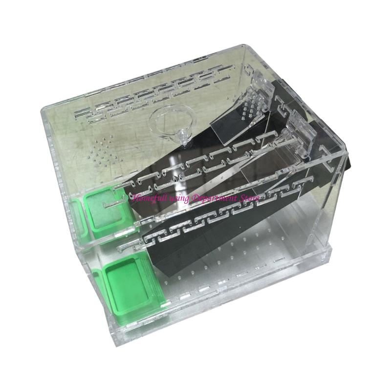 Acrylic Cricket Keeper Tanks with Removable Lid and Feeding Tube for Easy Insect Observation China Mainland
Acrylic Cricket Keeper Tanks with Removable Lid and Feeding Tube for Easy Insect Observation China Mainland
