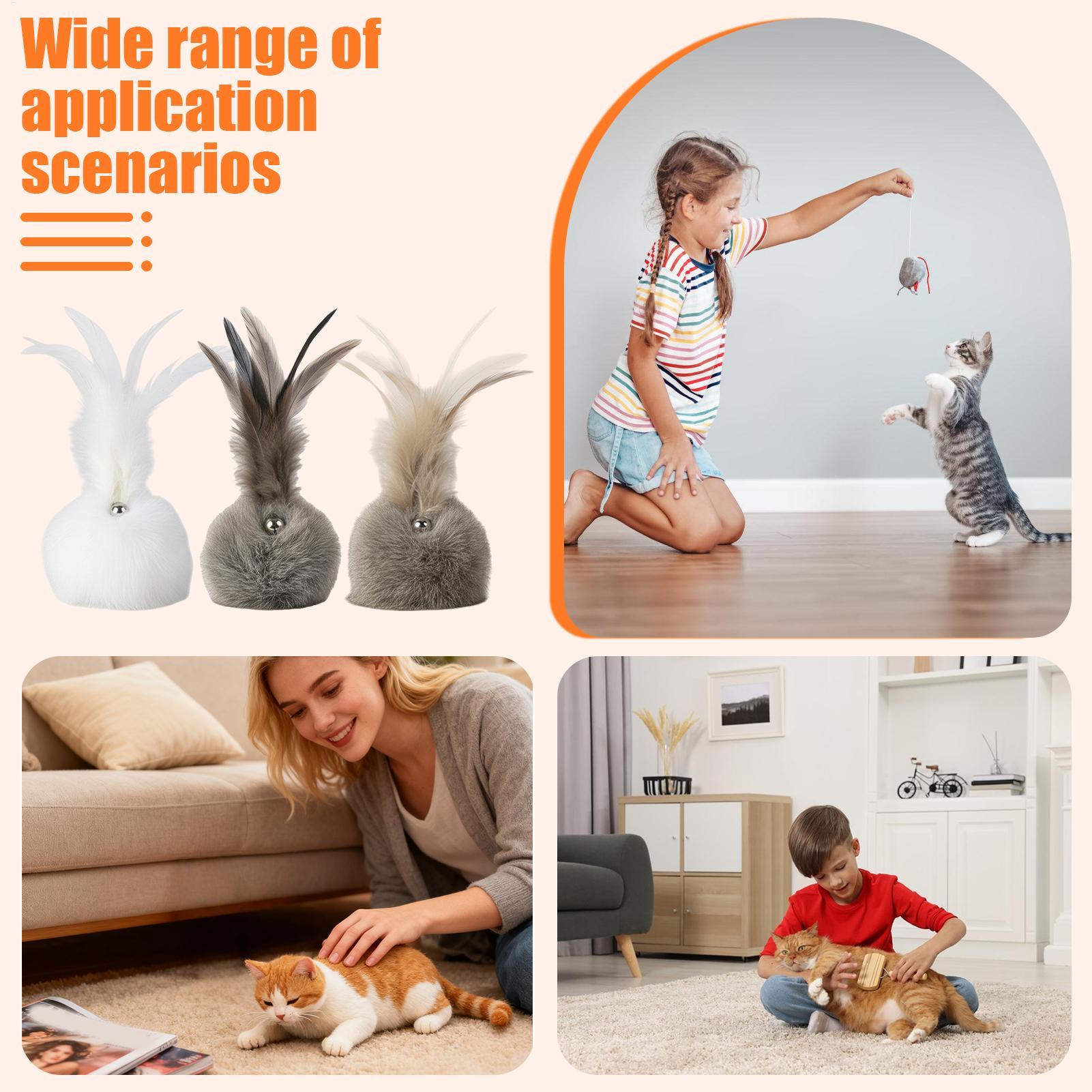 Cat Ball Toy 3 Pieces Teeth Grinding Game With Bell Realistic Rabbit Hair Interactive Cat Toy For Teeth Grinding Running China Mainland
Cat Ball Toy 3 Pieces Teeth Grinding Game With Bell Realistic Rabbit Hair Interactive Cat Toy For Teeth Grinding Running China Mainland
