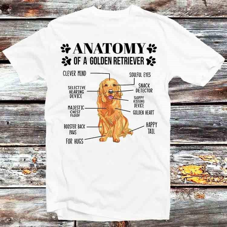 Anatomy Of A Golden Retriever T Shirt B1199 4XL
Anatomy Of A Golden Retriever T Shirt B1199 4XL