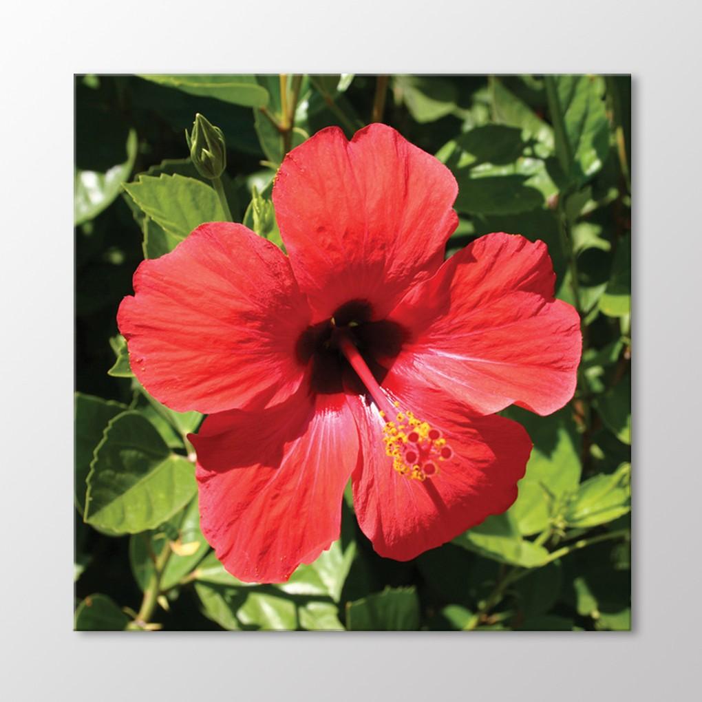 Цветочный стол 
Цветочный стол