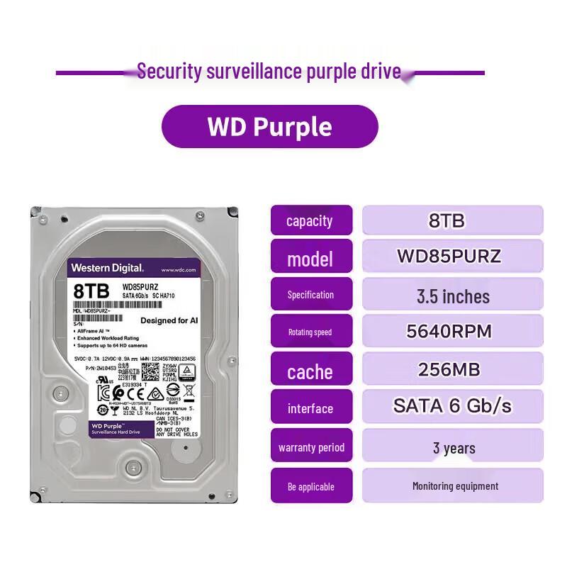 Western Digital Purple 8TB Surveillance Hard Drive
Western Digital Purple 8TB Surveillance Hard Drive