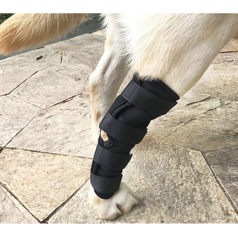 Pet Supplies Dog Leg Gaurd Set Pet Arthritis Fixed Recovery Bandage Wrap Leg Bracket Protective Cover Black Size S
Pet Supplies Dog Leg Gaurd Set Pet Arthritis Fixed Recovery Bandage Wrap Leg Bracket Protective Cover Black Size S