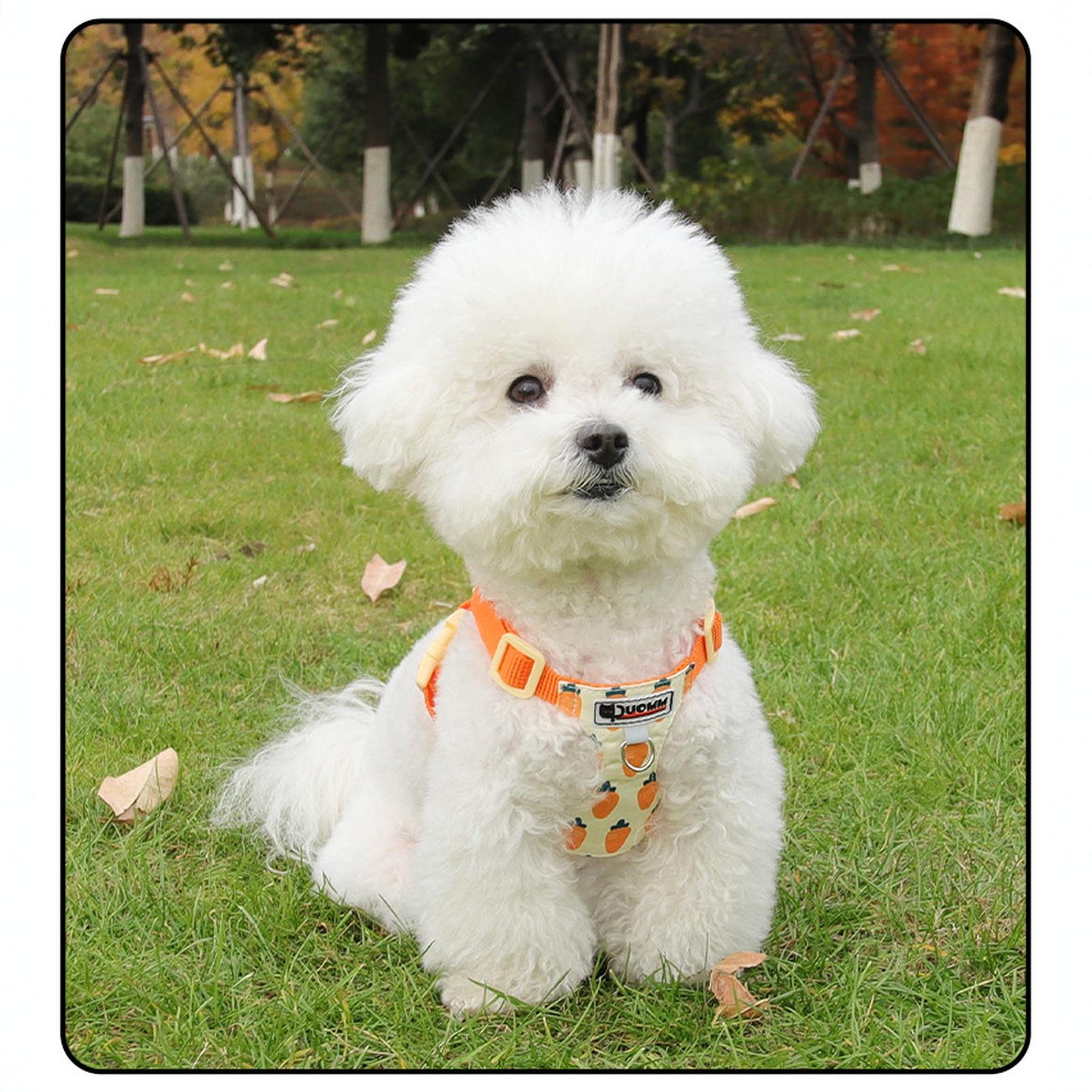 Dog with Traction Rope, Orange and Hexagonal Design, I-Shaped Abdomen XXS жовтий
Dog with Traction Rope, Orange and Hexagonal Design, I-Shaped Abdomen XXS жовтий