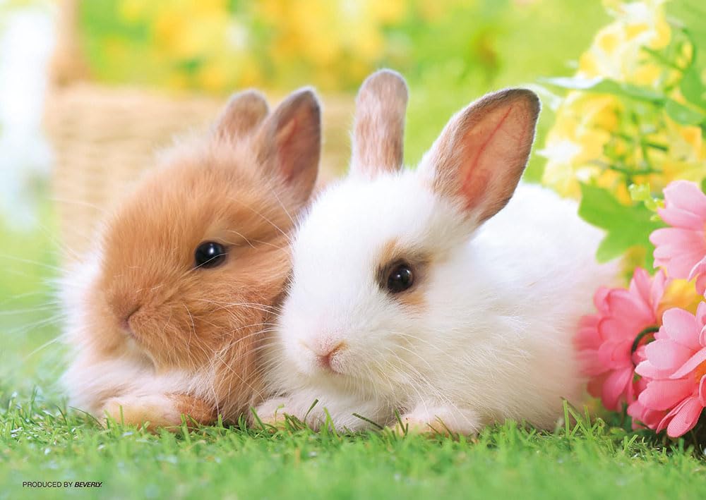 Beverly 108-Piece Jigsaw Puzzle Poka Poka Rabbit (18.2 x 25.7 cm) - Made in Japan
Beverly 108-Piece Jigsaw Puzzle Poka Poka Rabbit (18.2 x 25.7 cm) - Made in Japan