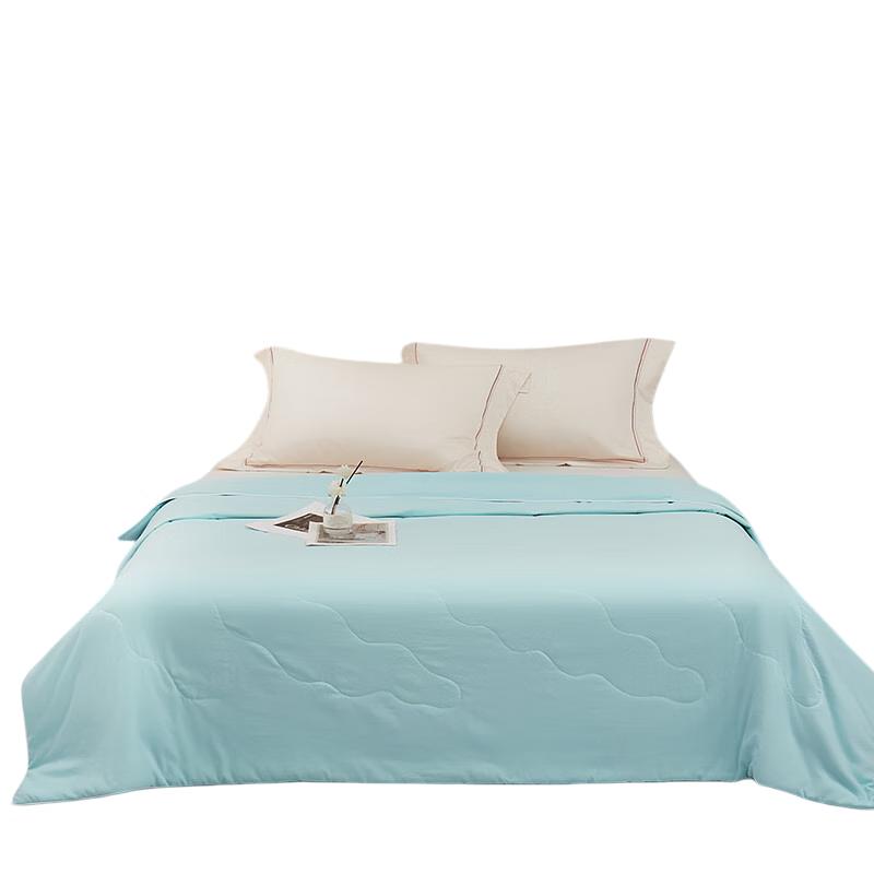 Southbedding Washed Cotton Mulberry Silk Summer Quilt
Southbedding Washed Cotton Mulberry Silk Summer Quilt