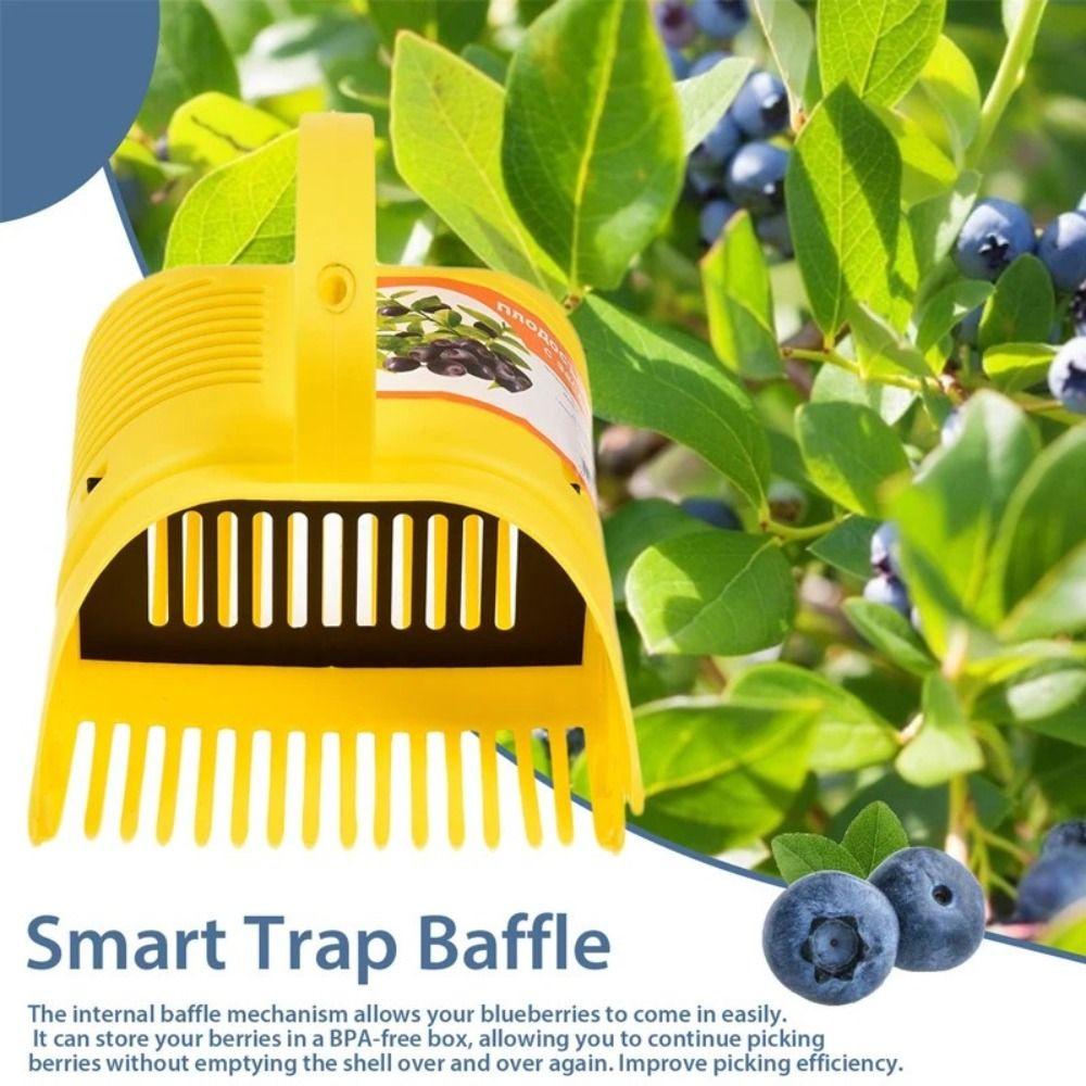 2pcs Ergonomic Handle Blueberry Picker with Comb Blueberry Rake Scoop Berry Pickers and Rakes
2pcs Ergonomic Handle Blueberry Picker with Comb Blueberry Rake Scoop Berry Pickers and Rakes