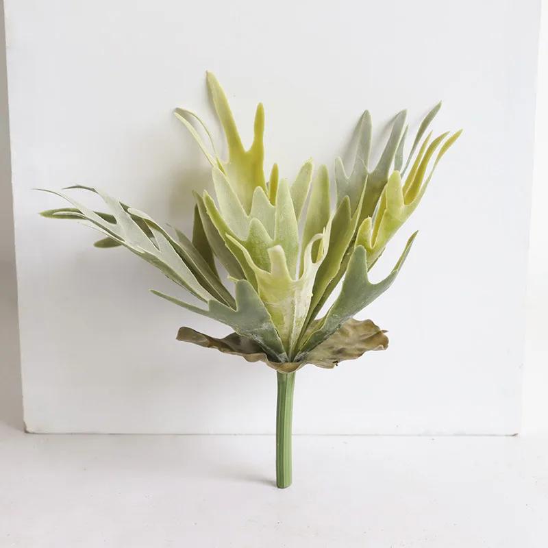 1PC Big Artificial Succulents Tufting Grass Antlers Fleshy Flowers Fake Plants Micro Landscape Home Table Decor 11.8 Inch бежевый
1PC Big Artificial Succulents Tufting Grass Antlers Fleshy Flowers Fake Plants Micro Landscape Home Table Decor 11.8 Inch бежевый
