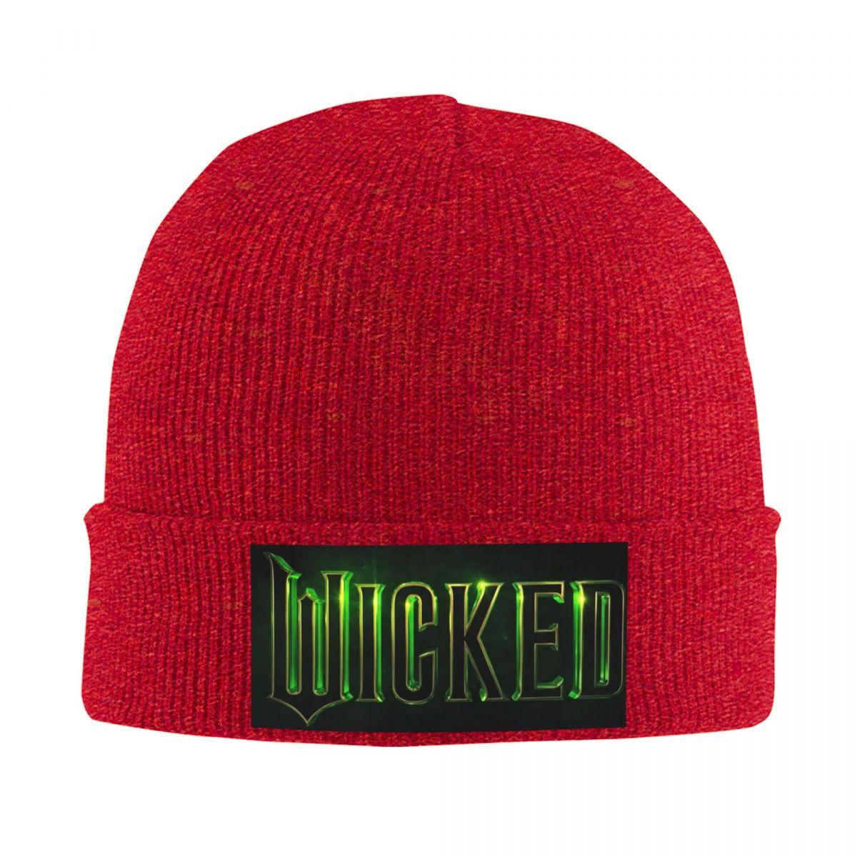 Wicked Movie Elphaba And Glinda Warm Knitted Cap Winter Knit Bonnet Hat Skullies Beanies Hip Hop Caps for Unisex One Size
Wicked Movie Elphaba And Glinda Warm Knitted Cap Winter Knit Bonnet Hat Skullies Beanies Hip Hop Caps for Unisex One Size