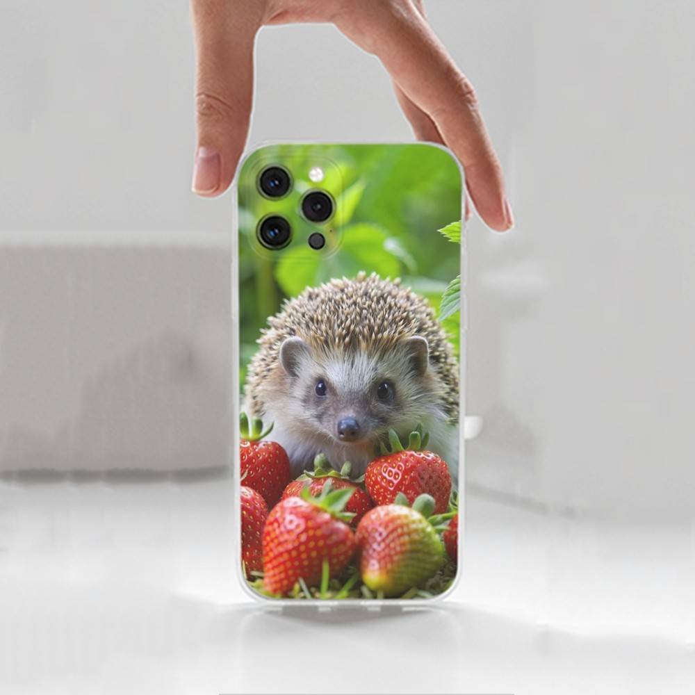 Чехол Милый Животный Ёжик Для iPhone 15,11,12,13,16,14,17,Pro,Max,Plus,SE,Mini,X,XS,XR, Прозрачный Мягкий Силикон iPhone11
Чехол Милый Животный Ёжик Для iPhone 15,11,12,13,16,14,17,Pro,Max,Plus,SE,Mini,X,XS,XR, Прозрачный Мягкий Силикон iPhone11