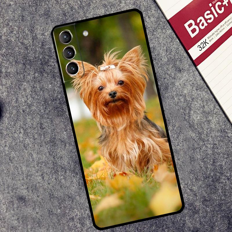 Чехол для щенка собаки породы Йоркширский терьер для Samsung Galaxy S24 S26 Ultra S10 S20 S21 S22 S23 Plus S25 FE S25 Ultra Чехол Galaxy S23
Чехол для щенка собаки породы Йоркширский терьер для Samsung Galaxy S24 S26 Ultra S10 S20 S21 S22 S23 Plus S25 FE S25 Ultra Чехол Galaxy S23