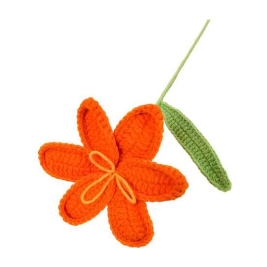 Crochet Tulip with Stem Leaf Handcrafted Knitting Flower Ornament Yarn Floral Decoration Mother s Day Birthday Christmas Gift оранжевый
Crochet Tulip with Stem Leaf Handcrafted Knitting Flower Ornament Yarn Floral Decoration Mother s Day Birthday Christmas Gift оранжевый
