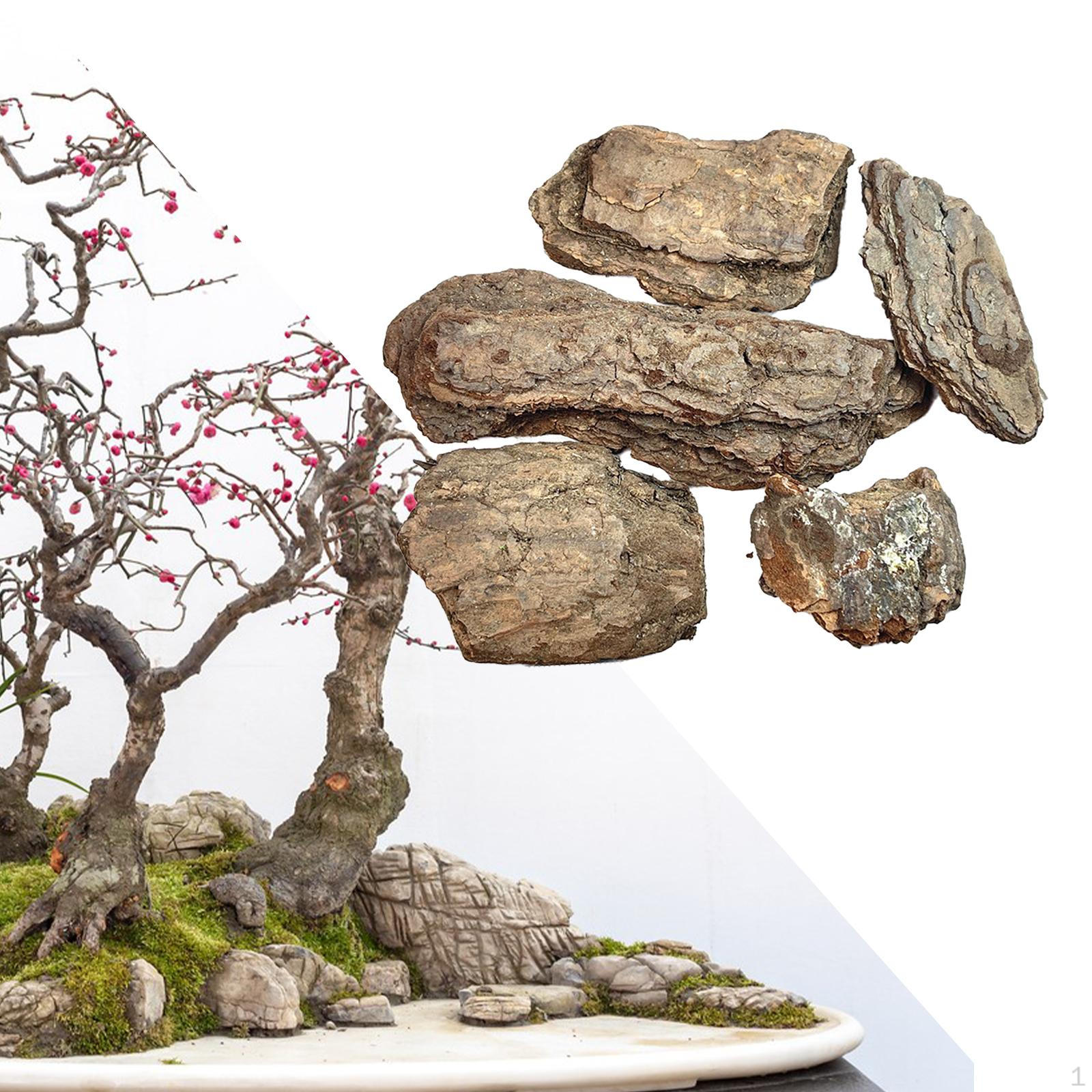 Материалы для сцены Наборы для диорамы Железнодорожный макет Декорации Деревянная базовая модель 5Pcs
Материалы для сцены Наборы для диорамы Железнодорожный макет Декорации Деревянная базовая модель 5Pcs